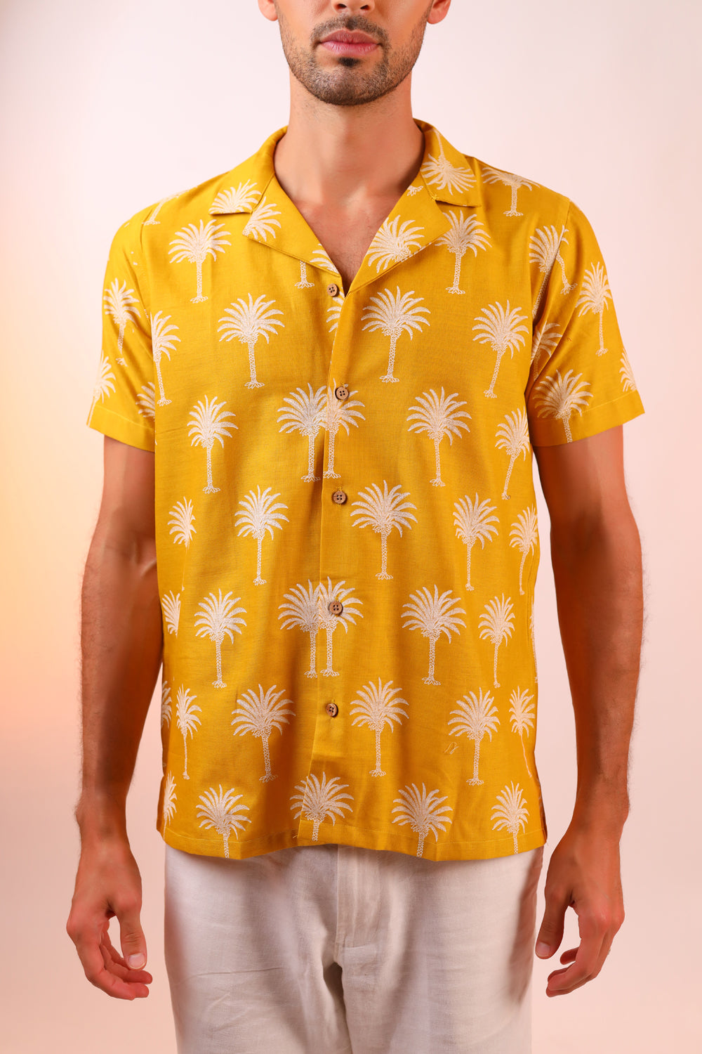 Palm Paradise