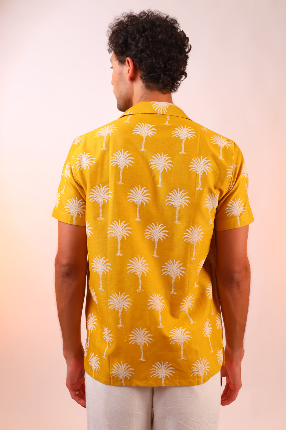 Palm Paradise