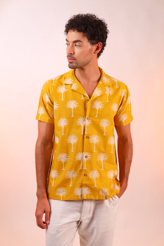 Palm Paradise